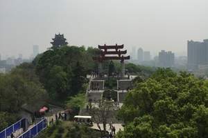 纯玩武汉市内一日游 黄鹤楼 武大 长江大桥 东湖 樱花上门接