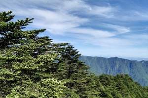 惠游湖北：神农架，大九湖、三峡人家 清江画廊 三峡大坝6日游