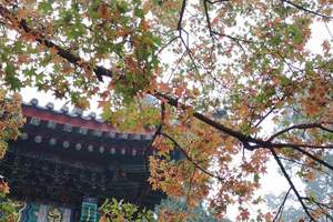 从北京到怀柔植树团建<怀柔雁栖湖参观 绿色环保植树一日游>
