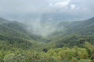 北京到天目湖康养旅游 南山竹海 御水温泉疗养 牛首山双卧八日