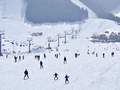 北京到八达岭滑雪一日游,八达岭滑雪温泉一日游_八达岭滑雪门票