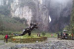 重庆武隆一日游 武隆天坑一日游价格，vip纯玩 导游讲解
