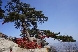 北京到陕西旅游 陕西西安 兵马俑 西岳华山 长恨歌双高五日