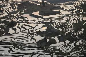 <摄影团>昆明抚仙湖 沙甸红河墨江 普洱景迈山哀牢山双飞十日
