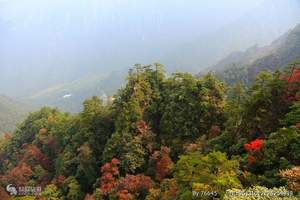 大明山